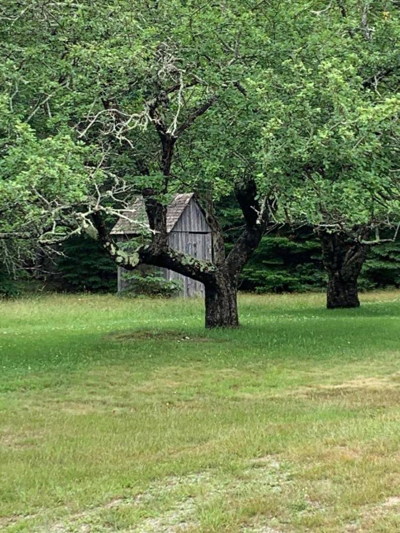 Meta Goldin Farmhouse - Meadow! Villa Deer Isle Exterior foto